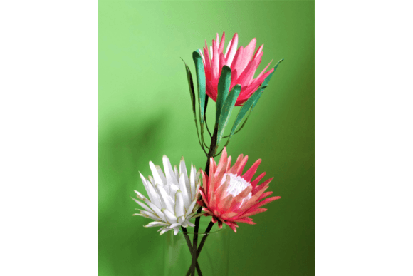 Blooming Protea 3D SVG Paper Flowers