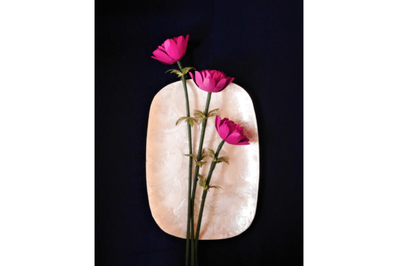 Double Anemone 3D SVG Paper Flowers Review